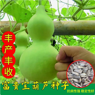 �����J�ϷN��ʳ�ò˺��J���^�p��ʳ�ú��J�N�Ѿƺ��J���������׷N