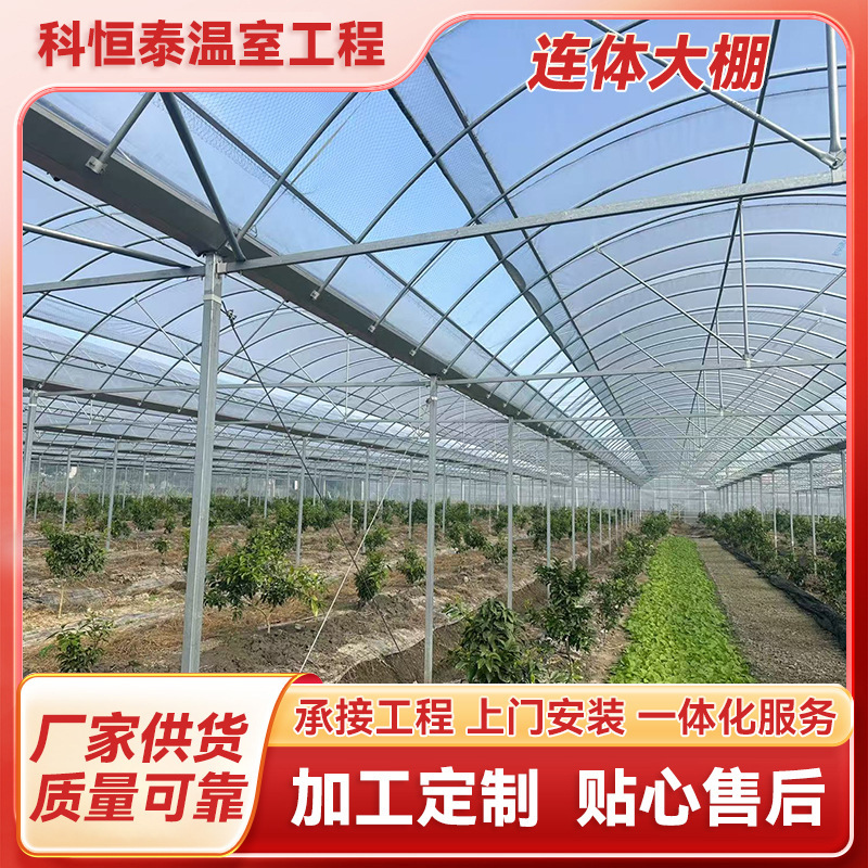 Conjoined greenhouse Direct supply of vegetables and fruits Conjoined greenhouse Foreign trade greenhouse Conjoined greenhouse Thermal insulation greenhouse Sunshade film
