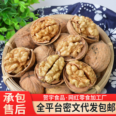 纸皮核桃新疆特产 25年新核桃散装批发 阿克苏薄皮手剥纸皮生核桃