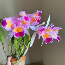 �¿�̨���󻨿����m���������������ԭ��ʯ�������m���m��������