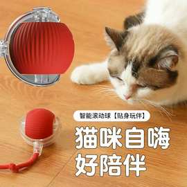 跨境智能逗猫球猫咪玩具自嗨解闷逗猫球猫玩具带绳逗猫玩具跳跳球