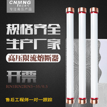 RN2-10KV/0.5 1A߉۔ մ۹оUzS