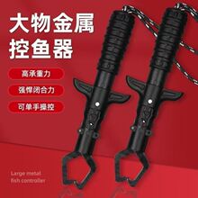 ���¿������~�����~�Q�ڽ������|���~����ҧ�������ÿ��~������