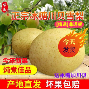 ����ѩ�����rˮ���ӱ��w�hѩ���������������ѩ�殔���Ř�������