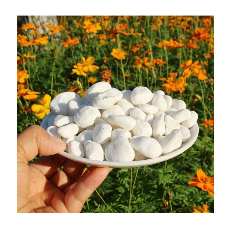 联系:13679700428 园林造景白色鹅卵石广州 珠海绿化装饰白色小石头彩色砾石