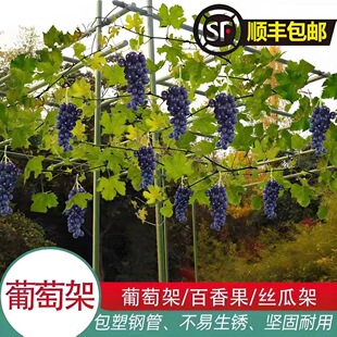 ����ͥԺ���ѼܽM�b֧�ܰ��������������Fˇ����ֲ̨�����ټ�