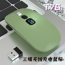 T7B�o���{������pģType-C�Pӛ��ƽ���o�����@ʾ���˽ģ����