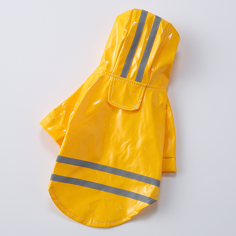 Pet enjoying the outdoors in raincoat