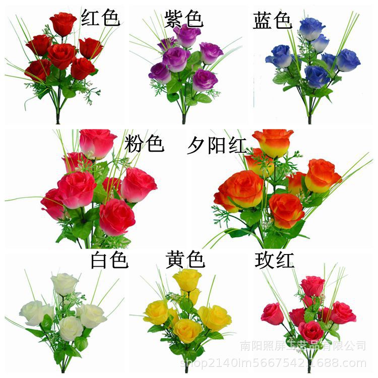 7头孔雀色卡.jpg