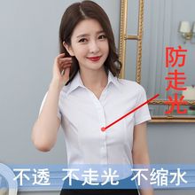 白衬衫女正装上衣新疆棉短袖职业装蓝工作服打底衫内搭工装衬衣寸