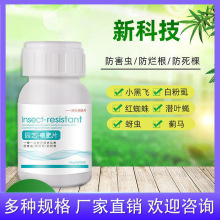 ԰�շ���Ƭ ֲ��ͨ������С�ڷɶ����ǳ��֩�뻨�� �ǻ����Ƭ