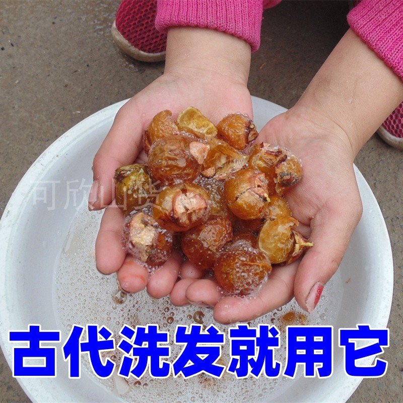 天然野生无患子果皮果肉500克 肥皂果粉 油皂角 圆皂角洗手果洗面