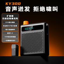 �¿�KY300�o���U�����̎����Ό���С�۷�������������