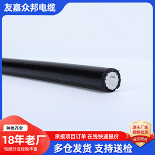 JKLYJ-1kV�ܿս^�������� �Ƒ���ƽ�м��������͉��ܿ��Xо��|��