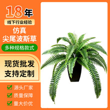 �����ָ���ֲ��β��˹��ާ��ֲ��ٻ���˹Ҷ����Ҿ�װ�β�����