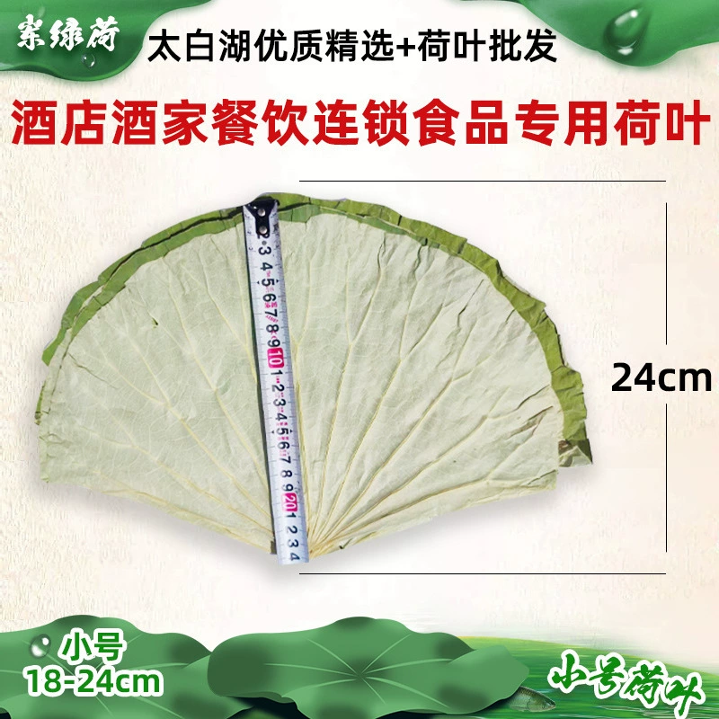 Прямые поставки с фабрики небольшого размера сушеные листья лотоса целый кусок озера Тайбай свежие сушеные листья лотоса делают лист лотоса курица клейкий рис курица сушеные листья лотоса