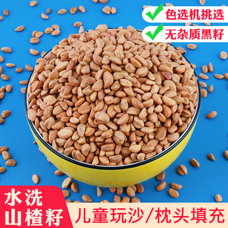 100 Jin Hawthorn Seed Toy Sand Granules Replace Cassia Seed Washable Children's Sand Dig Sand Playground Sand 100 Jin Hawthorn Seed Toy Sand Granules Replace Cassia Seed Washable Children's Sand Dig Sand Playground Sand