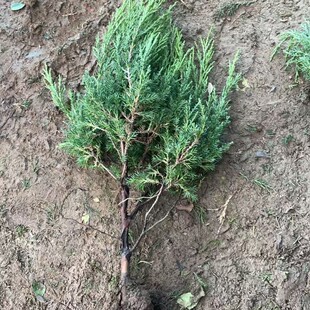 �������԰ؘ���Ȱؘ������ؘ����ɰؘ����ļ���������Ĺ��G����