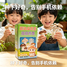 ����ˮ���������r�ļ��҃ȼ�ͥĢ������diy��ͯ�Nֲ�а���ˮĢ��