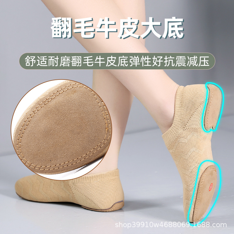Zapatos de porristas zapatos de baile femeninos suelas blandas zapatos de entrenamiento para adultos cordones de maestros transpirables con danza nacional zapatos de baile del vientre