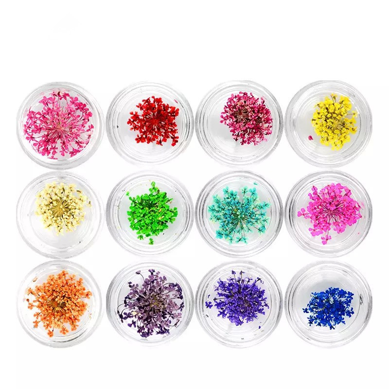 Nail art jewelry 12 color dried flower nail art dried flower nail jewelry phototherapy nail art supplies 12 different flowers Nail art jewelry 12 color dried flower nail art dried flower nail jewelry phototherapy nail art supplies 12 different flowers
