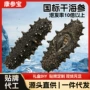 节日定制送礼干海参