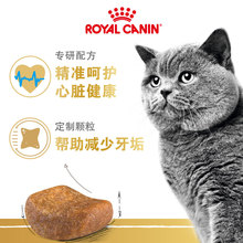 猫粮K试吃蓝猫幼猫BS粮成猫粮银渐层猫英短34主粮BS38