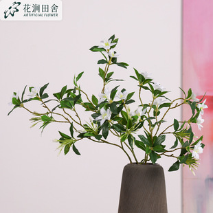 ���滨�Wʽ ���~���� ʯ�⻨�Ҿ�ܛ�b��̻�c�[���zӰ����