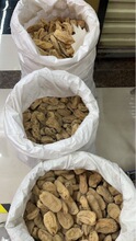 云南昭通天麻批发价格