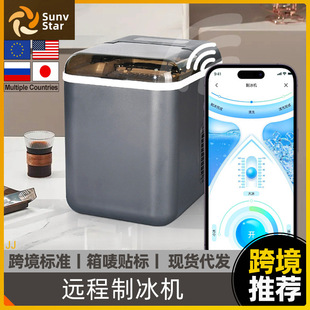 Japanese regulations European regulations ice maker household small dormitory students automatic cleaning milk tea shop commercial remote ice machine
