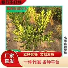 ���lɰ���ٴ�Ƥ��۽��Ә������Ե����̨ͥԺ�ļ��Nֲ�ϱ�������