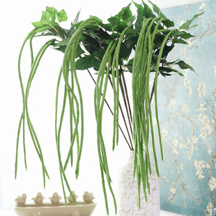 ���������b����L�����ָ�ֲ��ɭϵ�쾰��픲��à����b�ֲ��