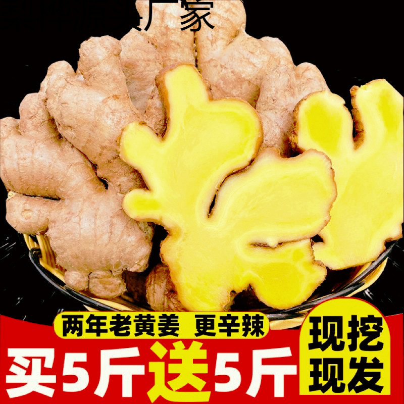 生姜批发老姜老黄姜调味品小黄姜新鲜蔬菜月子姜非大黄姜泡脚生姜