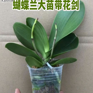 �����m���������������m�����ԾGֲ���҃ȿ͏d�_��������B��