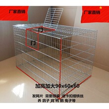 �u�\ �u�\���B�u�\���u�\���ô�̖�Bֳ�\���r�u�\���u�\�û\���\