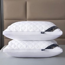 ���������w��о�Ǽ��Ƶ����^�����o�i׵�ߏ���z�q��W��������