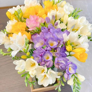 Yunnan Flower Blind Box Mixed Combination Flowers Yunnan Flower Base Direct Delivery Hydroponic Flowers Home Mixed Bouquet