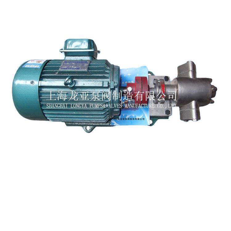 上海供应2CY3.3-0.33防爆柴油泵 2级能效415V齿轮泵 高压齿轮泵浦