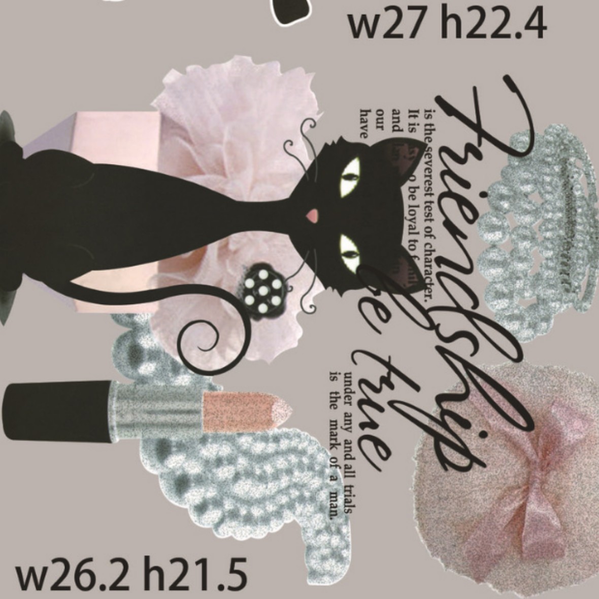 无纺布烫画 包装袋烫画 环保袋烫画