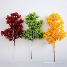 ����ɫ��Ʒ�|��֦�°��~�����ɘ�֦�پGֲ�辰ӭ���ɘ��~֦������