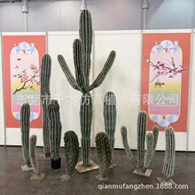 #���N������  ����ɳĮ�b�   #�����Ʒ���   �߶ȷ���Gֲ������