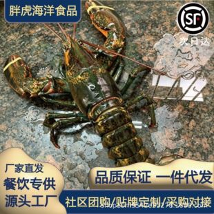�����ʿ�D���r���l�������ô����r���rˮ�a�������r�������l