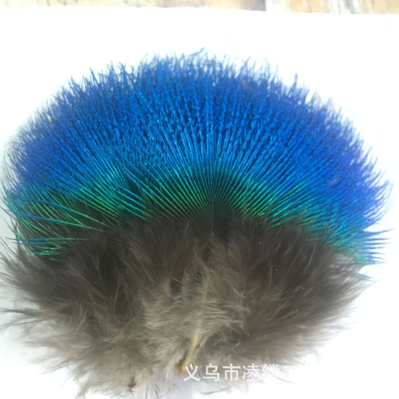 QQ图片20160115110351