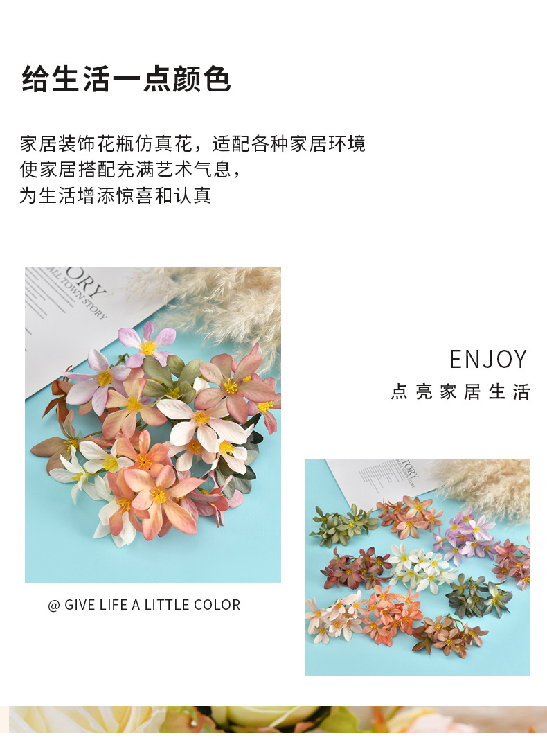 未标题-4本_02.jpg