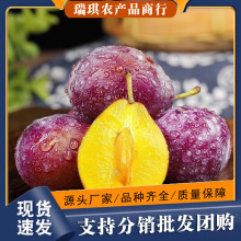 �����½����m����÷3�����䮔�������rˮ��10���l���]5�������ӟo