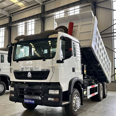 Manufacturer Sells Cross-Border Heavy-Duty Howo Tx Dump Trucks with 460 Horsepower, Dump Trucks for Transporting Soil and Gravel, and Heavy-Duty Vehicles (Yük maşınları)