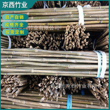竹条批发 各类竹竿竹条竹架子 细竹杆毛竹竿厂家供应