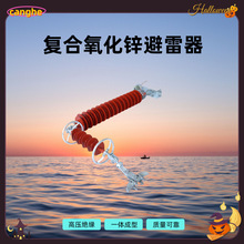 110KV户外线路避雷器YH10CX-96/280串联间隙氧化锌高压绝缘子跨境