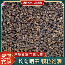 黑胡椒500克 越南五两八黑胡椒粒现磨腌肉调味香料粉工厂供应