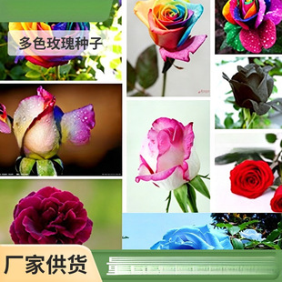 �tõ�廨�N�� �Gֲ���Ի����r���N�����Ե����ļ��N��õ��N200��